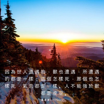 Picture 03 - 傳 道 書 3:19 CUVT - 因 為 世 人 遭 遇 的 ， 獸 也 遭 遇 - Bible Verse Picture