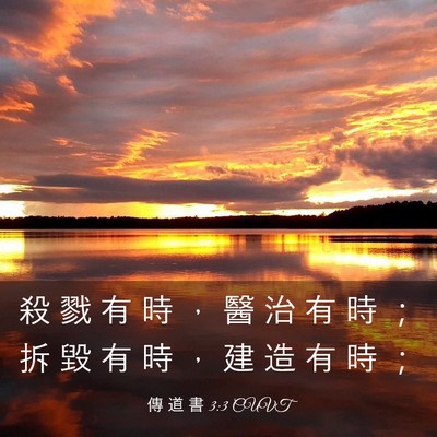 Picture 03 - 傳 道 書 3:3 CUVT - 殺 戮 有 時 ， 醫 治 有 時 ； 拆 毀 - Bible Verse Picture