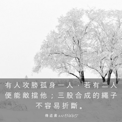 Picture 03 - 傳 道 書 4:12 CUVT - 有 人 攻 勝 孤 身 一 人 ， 若 有 二 - Bible Verse Picture