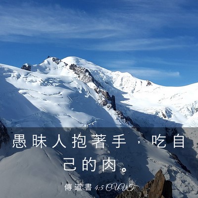 Picture 03 - 傳 道 書 4:5 CUVT - 愚 昧 人 抱 著 手 ， 吃 自 己 的 肉 - Bible Verse Picture