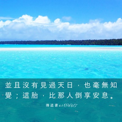 Picture 03 - 傳 道 書 6:5 CUVT - 並 且 沒 有 見 過 天 日 ， 也 毫 無 - Bible Verse Picture
