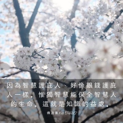 Picture 03 - 傳 道 書 7:12 CUVT - 因 為 智 慧 護 庇 人 ， 好 像 銀 錢 - Bible Verse Picture