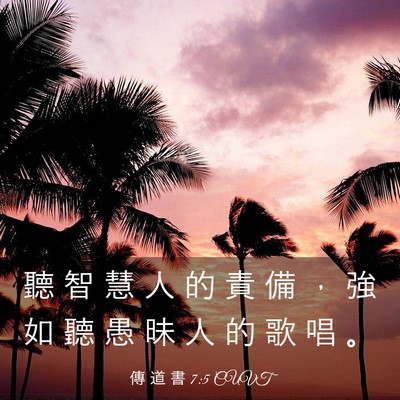 Picture 03 - 傳 道 書 7:5 CUVT - 聽 智 慧 人 的 責 備 ， 強 如 聽 愚 - Bible Verse Picture