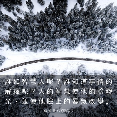 Picture 03 - 傳 道 書 8:1 CUVT - 誰 如 智 慧 人 呢 ？ 誰 知 道 事 情 - Bible Verse Picture