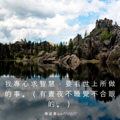 Picture 03 - 傳 道 書 8:16 CUVT - 我 專 心 求 智 慧 ， 要 看 世 上 所 - Bible Verse Picture