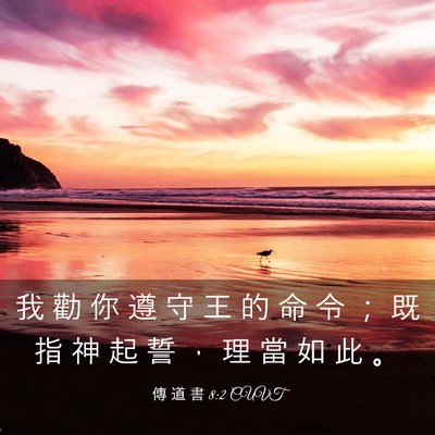 Picture 03 - 傳 道 書 8:2 CUVT - 我 勸 你 遵 守 王 的 命 令 ； 既 指 - Bible Verse Picture