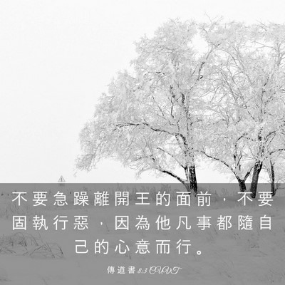 Picture 03 - 傳 道 書 8:3 CUVT - 不 要 急 躁 離 開 王 的 面 前 ， 不 - Bible Verse Picture