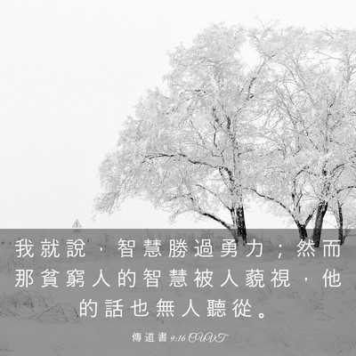 Picture 03 - 傳 道 書 9:16 CUVT - 我 就 說 ， 智 慧 勝 過 勇 力 ； 然 - Bible Verse Picture