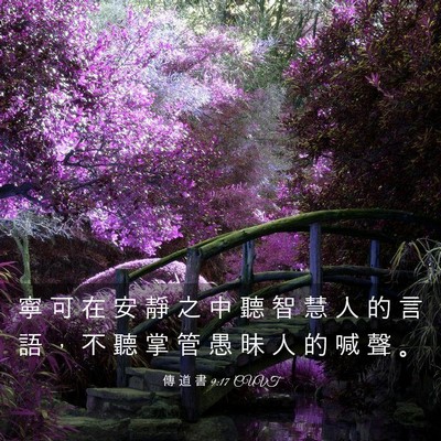 Picture 03 - 傳 道 書 9:17 CUVT - 寧 可 在 安 靜 之 中 聽 智 慧 人 的 - Bible Verse Picture