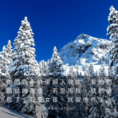 Picture 03 - 出 埃 及 記 1:16 CUVT - 你 們 為 希 伯 來 婦 人 收 生 ， 看 - Bible Verse Picture