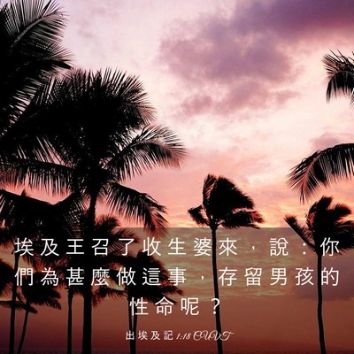 Picture 03 - 出 埃 及 記 1:18 CUVT - 埃 及 王 召 了 收 生 婆 來 ， 說 ： - Bible Verse Picture