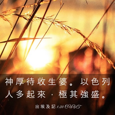 Picture 03 - 出 埃 及 記 1:20 CUVT - 神 厚 待 收 生 婆 。 以 色 列 人 多 - Bible Verse Picture