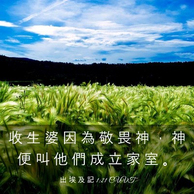 Picture 03 - 出 埃 及 記 1:21 CUVT - 收 生 婆 因 為 敬 畏 神 ， 神 便 叫 - Bible Verse Picture