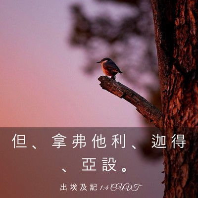 Picture 03 - 出 埃 及 記 1:4 CUVT - 但 、 拿 弗 他 利 、 迦 得 、 亞 設 - Bible Verse Picture