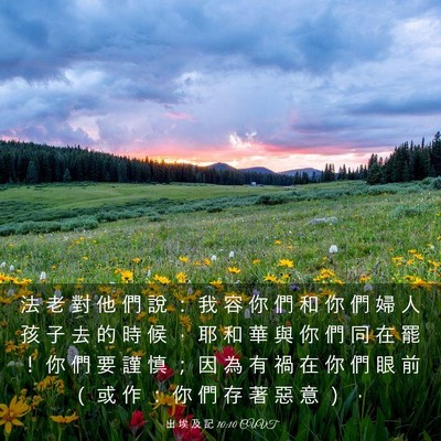 Picture 03 - 出 埃 及 記 10:10 CUVT - 法 老 對 他 們 說 ： 我 容 你 們 和 - Bible Verse Picture