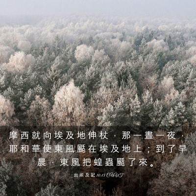 Picture 03 - 出 埃 及 記 10:13 CUVT - 摩 西 就 向 埃 及 地 伸 杖 ， 那 一 - Bible Verse Picture