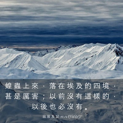 Picture 03 - 出 埃 及 記 10:14 CUVT - 蝗 蟲 上 來 ， 落 在 埃 及 的 四 境 - Bible Verse Picture