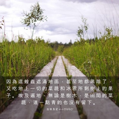 Picture 03 - 出 埃 及 記 10:15 CUVT - 因 為 這 蝗 蟲 遮 滿 地 面 ， 甚 至 - Bible Verse Picture
