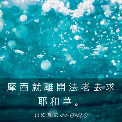 Picture 03 - 出 埃 及 記 10:18 CUVT - 摩 西 就 離 開 法 老 去 求 耶 和 華 - Bible Verse Picture