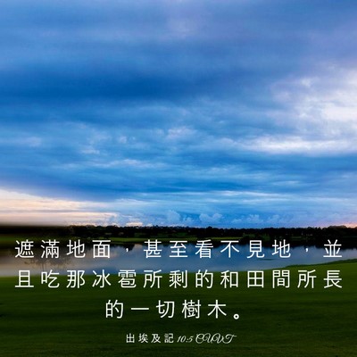 Picture 03 - 出 埃 及 記 10:5 CUVT - 遮 滿 地 面 ， 甚 至 看 不 見 地 ， - Bible Verse Picture