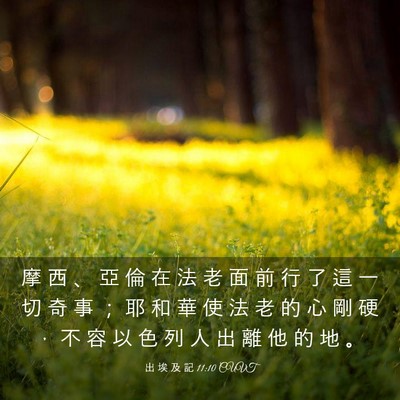 Picture 03 - 出 埃 及 記 11:10 CUVT - 摩 西 、 亞 倫 在 法 老 面 前 行 了 - Bible Verse Picture