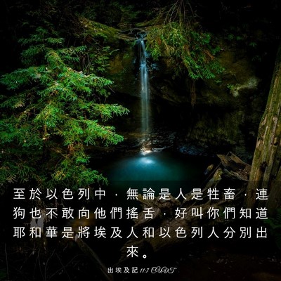 Picture 03 - 出 埃 及 記 11:7 CUVT - 至 於 以 色 列 中 ， 無 論 是 人 是 - Bible Verse Picture