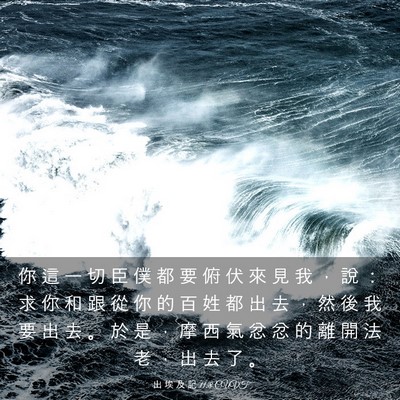 Picture 03 - 出 埃 及 記 11:8 CUVT - 你 這 一 切 臣 僕 都 要 俯 伏 來 見 - Bible Verse Picture