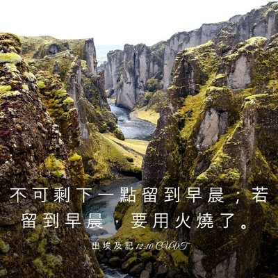 Picture 03 - 出 埃 及 記 12:10 CUVT - 不 可 剩 下 一 點 留 到 早 晨 ； 若 - Bible Verse Picture