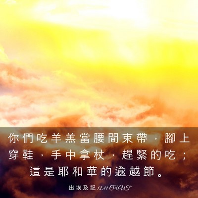 Picture 03 - 出 埃 及 記 12:11 CUVT - 你 們 吃 羊 羔 當 腰 間 束 帶 ， 腳 - Bible Verse Picture