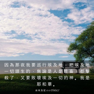 Picture 03 - 出 埃 及 記 12:12 CUVT - 因 為 那 夜 我 要 巡 行 埃 及 地 ， - Bible Verse Picture