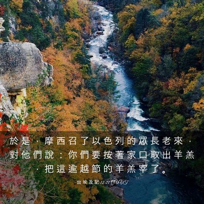 Picture 03 - 出 埃 及 記 12:21 CUVT - 於 是 ， 摩 西 召 了 以 色 列 的 眾 - Bible Verse Picture