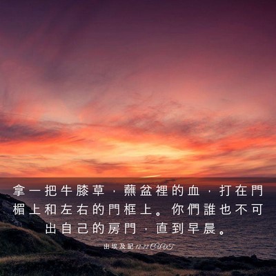 Picture 03 - 出 埃 及 記 12:22 CUVT - 拿 一 把 牛 膝 草 ， 蘸 盆 裡 的 血 - Bible Verse Picture