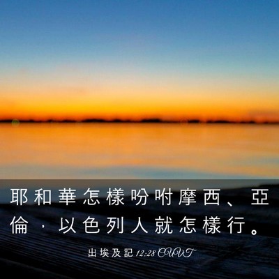 Picture 03 - 出 埃 及 記 12:28 CUVT - 耶 和 華 怎 樣 吩 咐 摩 西 、 亞 倫 - Bible Verse Picture