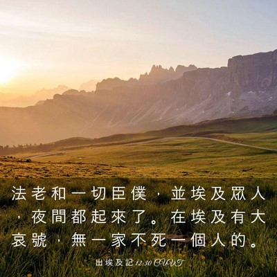 Picture 03 - 出 埃 及 記 12:30 CUVT - 法 老 和 一 切 臣 僕 ， 並 埃 及 眾 - Bible Verse Picture