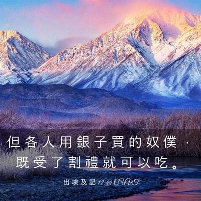 Picture 03 - 出 埃 及 記 12:44 CUVT - 但 各 人 用 銀 子 買 的 奴 僕 ， 既 - Bible Verse Picture