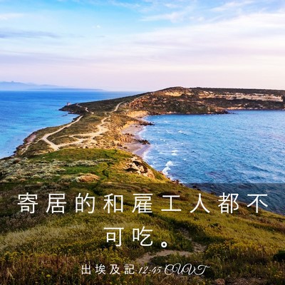 Picture 03 - 出 埃 及 記 12:45 CUVT - 寄 居 的 和 雇 工 人 都 不 可 吃 - Bible Verse Picture
