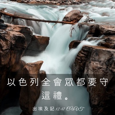 Picture 03 - 出 埃 及 記 12:47 CUVT - 以 色 列 全 會 眾 都 要 守 這 禮 - Bible Verse Picture