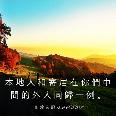 Picture 03 - 出 埃 及 記 12:49 CUVT - 本 地 人 和 寄 居 在 你 們 中 間 的 - Bible Verse Picture