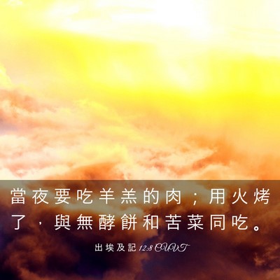 Picture 03 - 出 埃 及 記 12:8 CUVT - 當 夜 要 吃 羊 羔 的 肉 ； 用 火 烤 - Bible Verse Picture