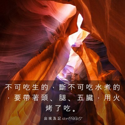 Picture 03 - 出 埃 及 記 12:9 CUVT - 不 可 吃 生 的 ， 斷 不 可 吃 水 煮 - Bible Verse Picture