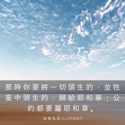 Picture 03 - 出 埃 及 記 13:12 CUVT - 那 時 你 要 將 一 切 頭 生 的 ， 並 - Bible Verse Picture
