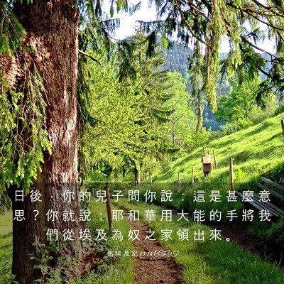 Picture 03 - 出 埃 及 記 13:14 CUVT - 日 後 ， 你 的 兒 子 問 你 說 ： 這 - Bible Verse Picture