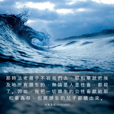Picture 03 - 出 埃 及 記 13:15 CUVT - 那 時 法 老 幾 乎 不 容 我 們 去 ， - Bible Verse Picture