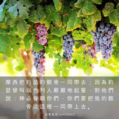 Picture 03 - 出 埃 及 記 13:19 CUVT - 摩 西 把 約 瑟 的 骸 骨 一 同 帶 去 - Bible Verse Picture