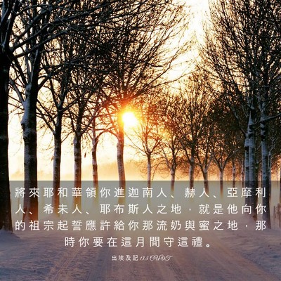 Picture 03 - 出 埃 及 記 13:5 CUVT - 將 來 耶 和 華 領 你 進 迦 南 人 、 - Bible Verse Picture