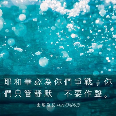 Picture 03 - 出 埃 及 記 14:14 CUVT - 耶 和 華 必 為 你 們 爭 戰 ； 你 們 - Bible Verse Picture