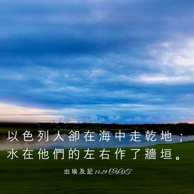 Picture 03 - 出 埃 及 記 14:29 CUVT - 以 色 列 人 卻 在 海 中 走 乾 地 ； - Bible Verse Picture