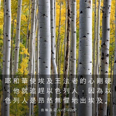 Picture 03 - 出 埃 及 記 14:8 CUVT - 耶 和 華 使 埃 及 王 法 老 的 心 剛 - Bible Verse Picture