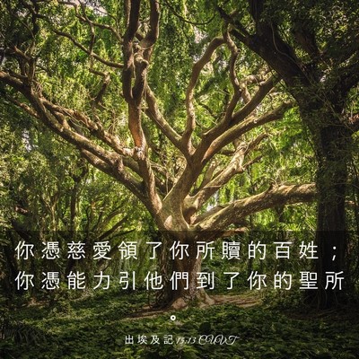 Picture 03 - 出 埃 及 記 15:13 CUVT - 你 憑 慈 愛 領 了 你 所 贖 的 百 姓 - Bible Verse Picture