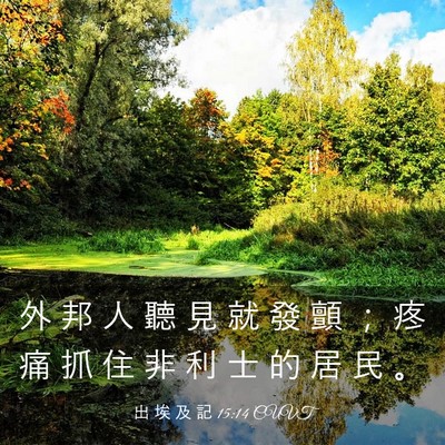 Picture 03 - 出 埃 及 記 15:14 CUVT - 外 邦 人 聽 見 就 發 顫 ； 疼 痛 抓 - Bible Verse Picture